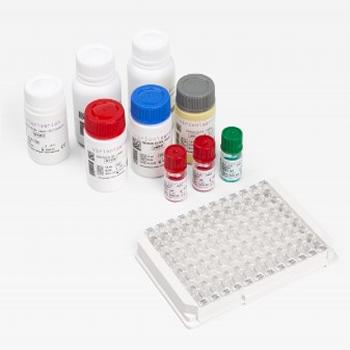 Chlamydia lgG/IgM (Blood) Test