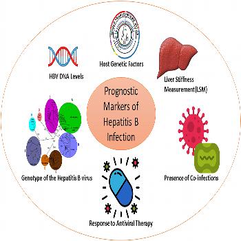 Hepatitis B Core Antibody IgG, IgM, Differentiation 