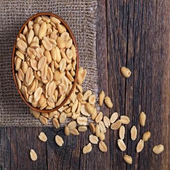 Allergy Profile / Peanut Test 