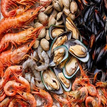 Allergy Profile / Shellfish Test